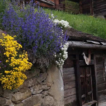 Chalet Rivendell 샬레 *